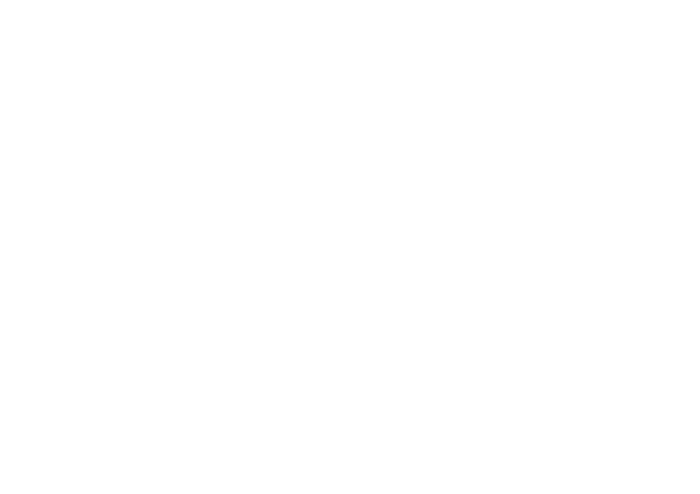 BossTV